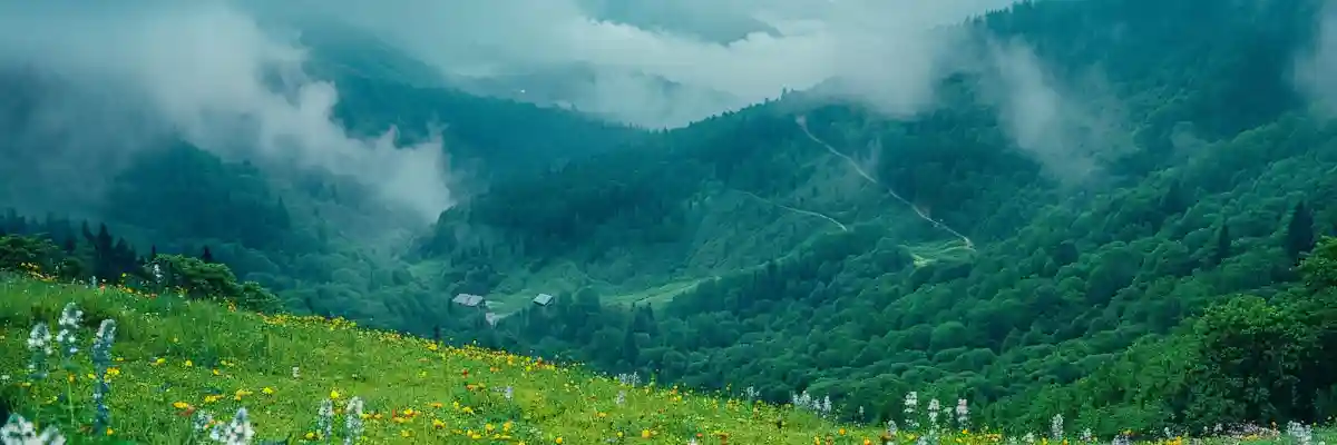Discover Hidden Uttarakhand with Every Click 3 https://homeyhuts-prod-assets.s3.ap-south-1.amazonaws.com/image_h0ady_8_14_2024_12%3A19%3A50_PM.webp?utm_source=chatgpt.com